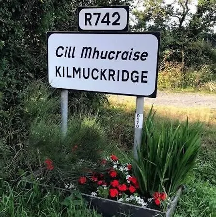 Casa vacanze Kilmuckridge